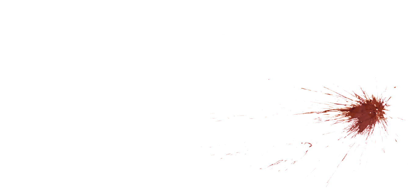 Logo Ayahuanco